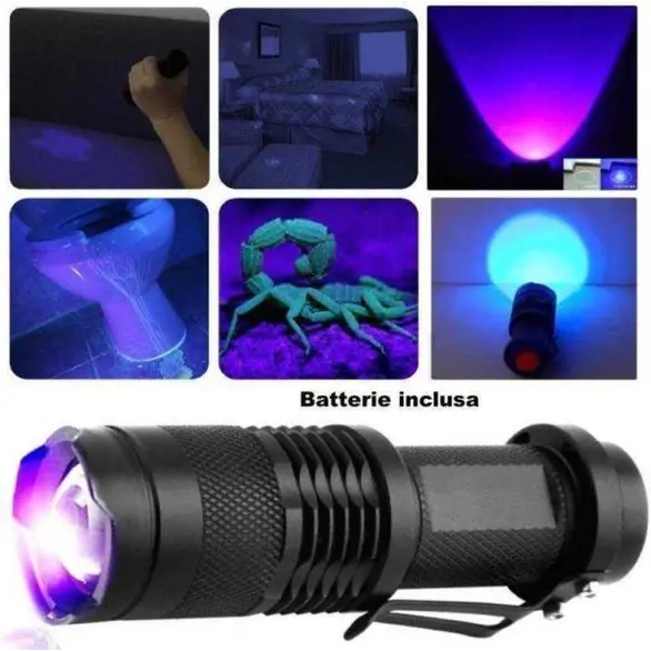 Mini-UV-Licht-Holzlampe erkennt Banknotenflecken Flüssigkeiten tragbarer Zoom