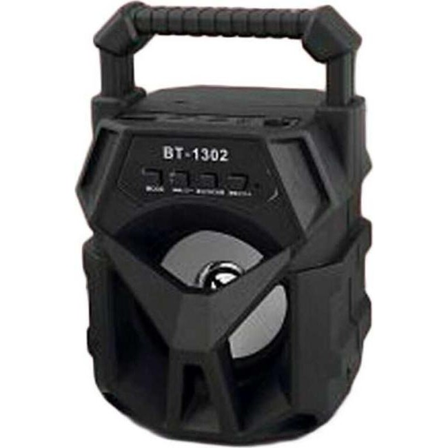 Bluetooth Lautsprecher mit USB AUX TF CARD tragbarer Radio Lautsprecher...